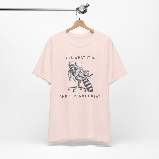 It Is What It Is - Short Sleeve Tee