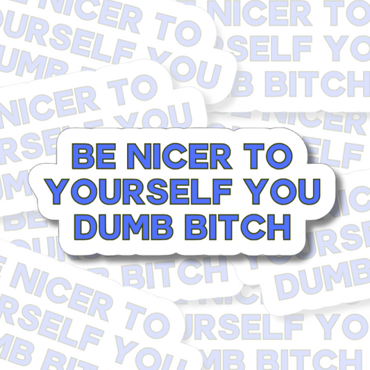 Be Nicer to Yourself You Dumb Bitch - Vinyl Sticker