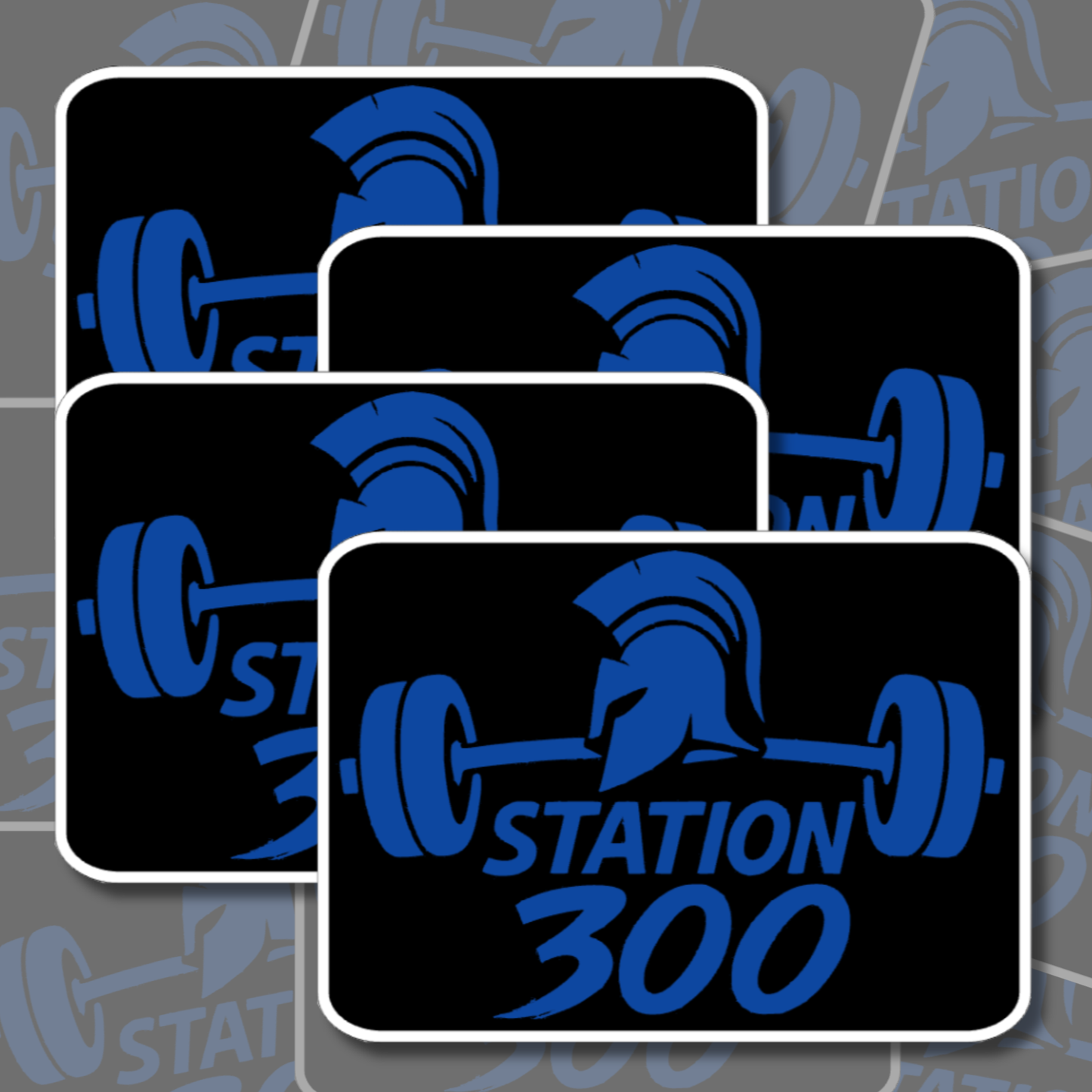 Station 300 Stickers