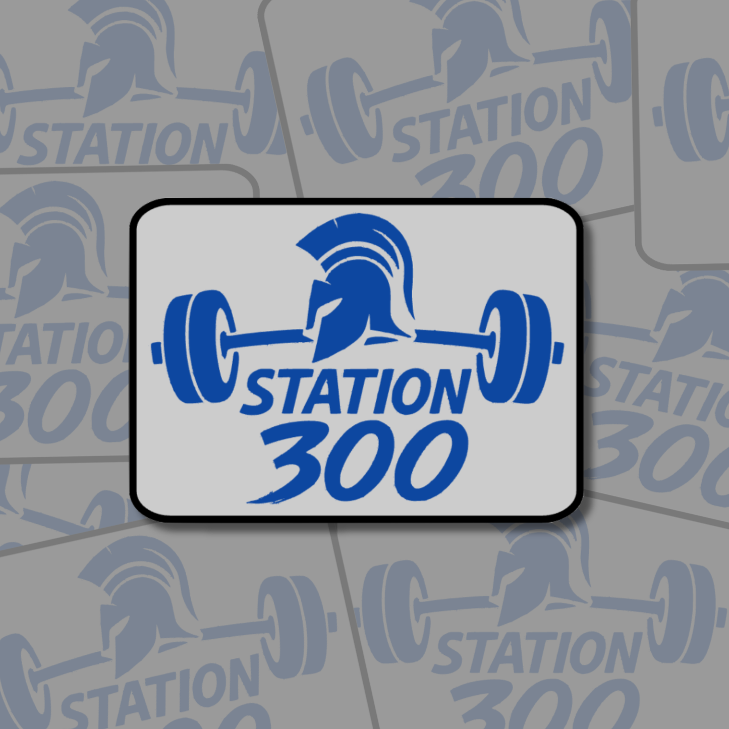 Station 300 Stickers