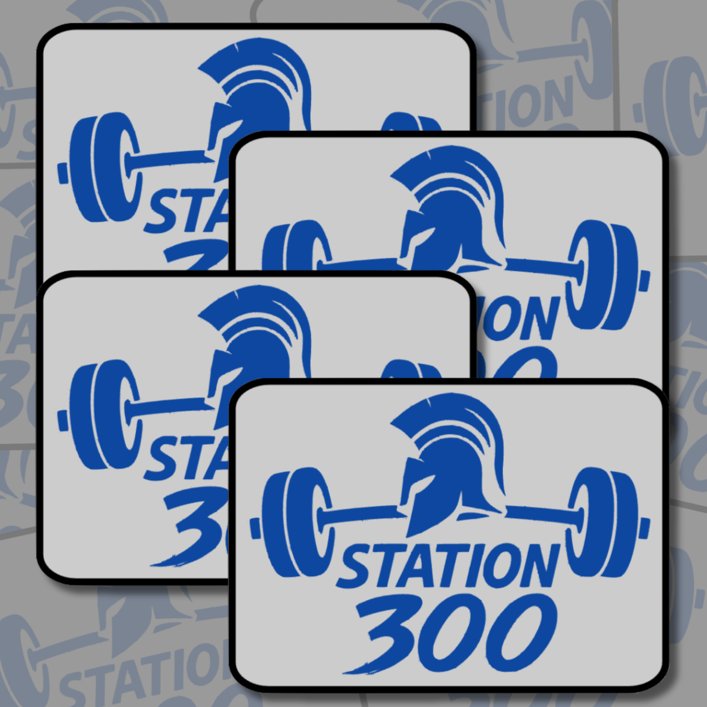 Station 300 Stickers
