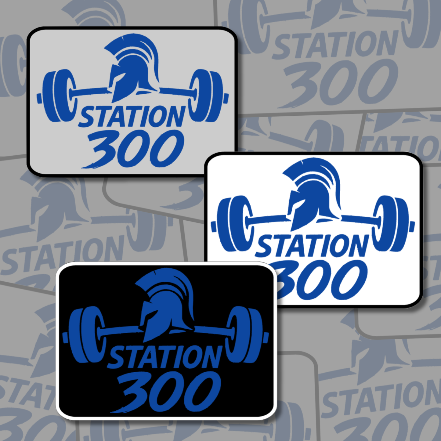 Station 300 Stickers