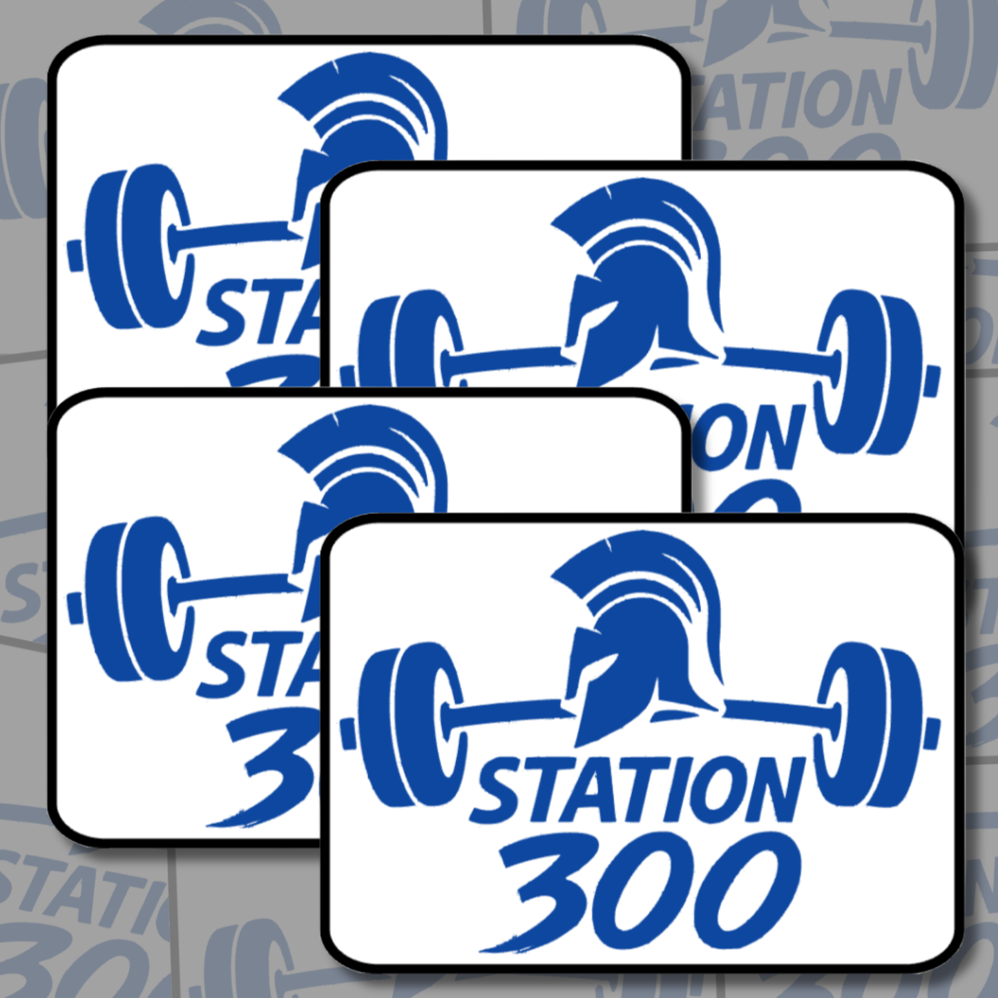 Station 300 Stickers