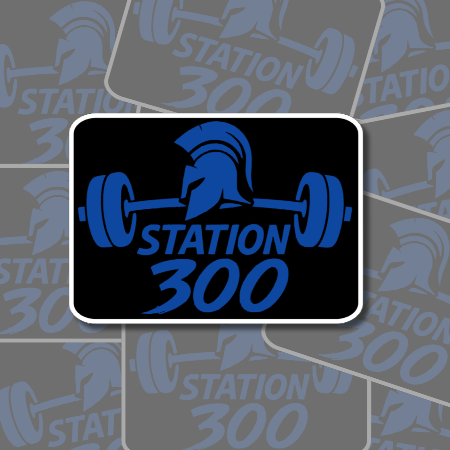 Station 300 Stickers