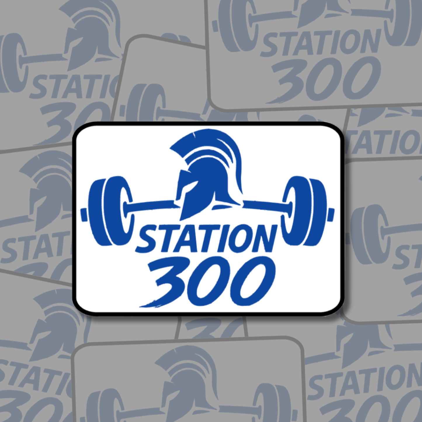 Station 300 Stickers